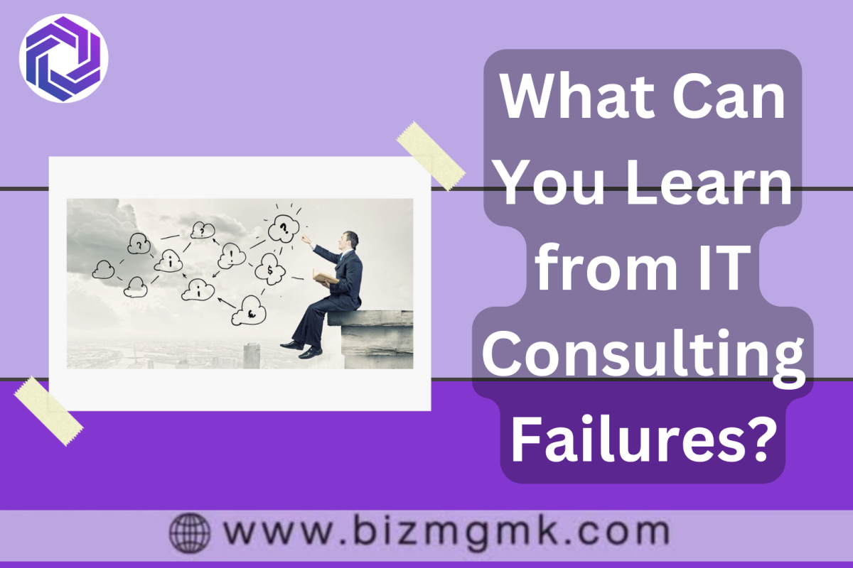 What Can You Learn from IT Consulting Failures?